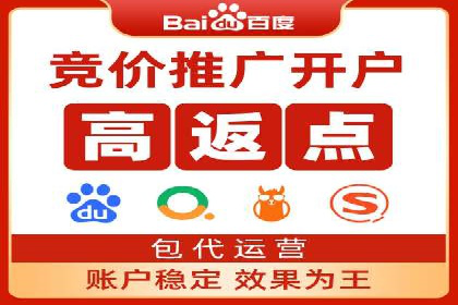 SEM推广优化策略：成功案例解析